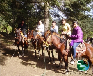 Nuestros caballos